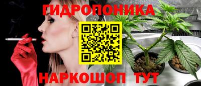 ГАЛЛЮЦИНОГЕННЫЕ ГРИБЫ Кунгур