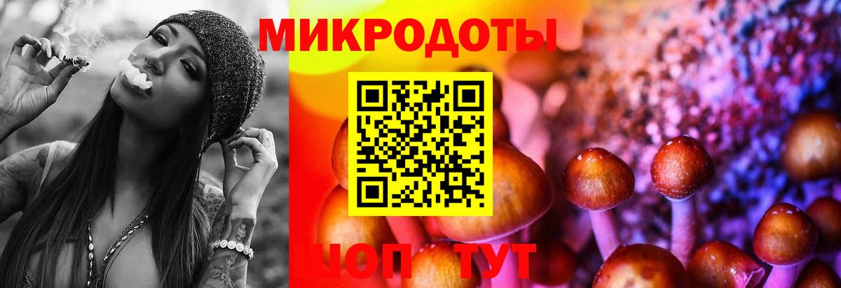 Псилоцибиновые грибы Psilocybine cubensis  Вход с VPN  Когалым 